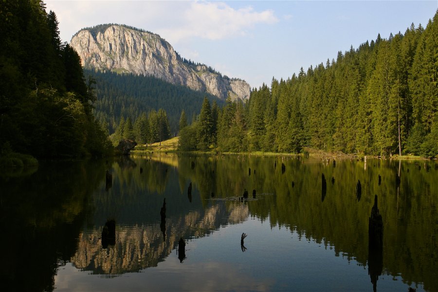The Red Lake from Harghita, Romania, with beautiful trees around and mountain in the background