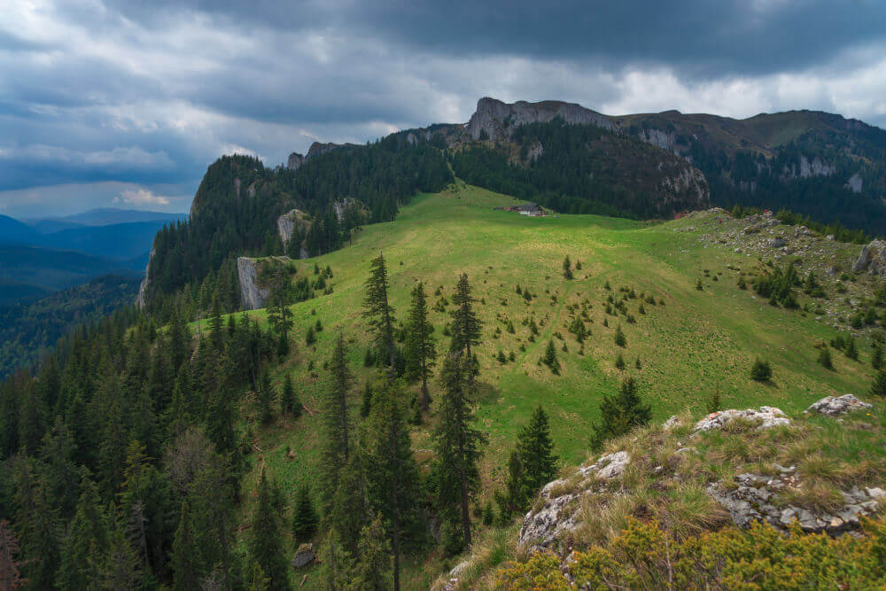 The seven ladder from Romania