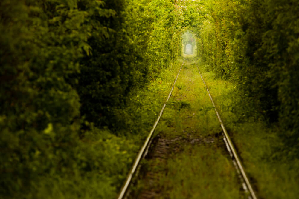 The Tunnel Of Love