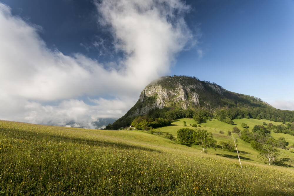 The Carpathian Mountains