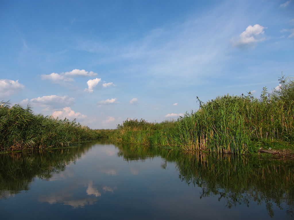 Comana-natural Park Neajlov Delta