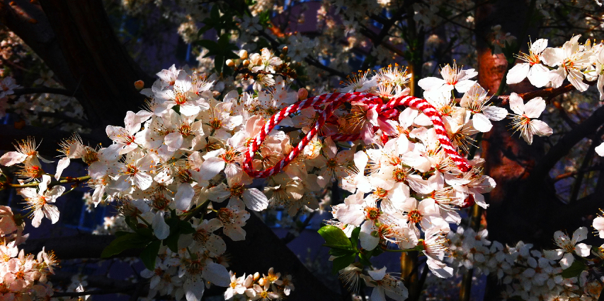 Flowers related to Martisor