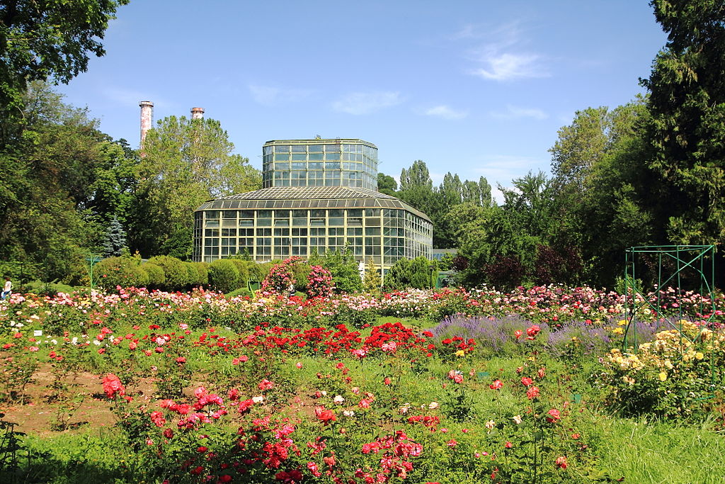 The Bucharest Botanical Garden