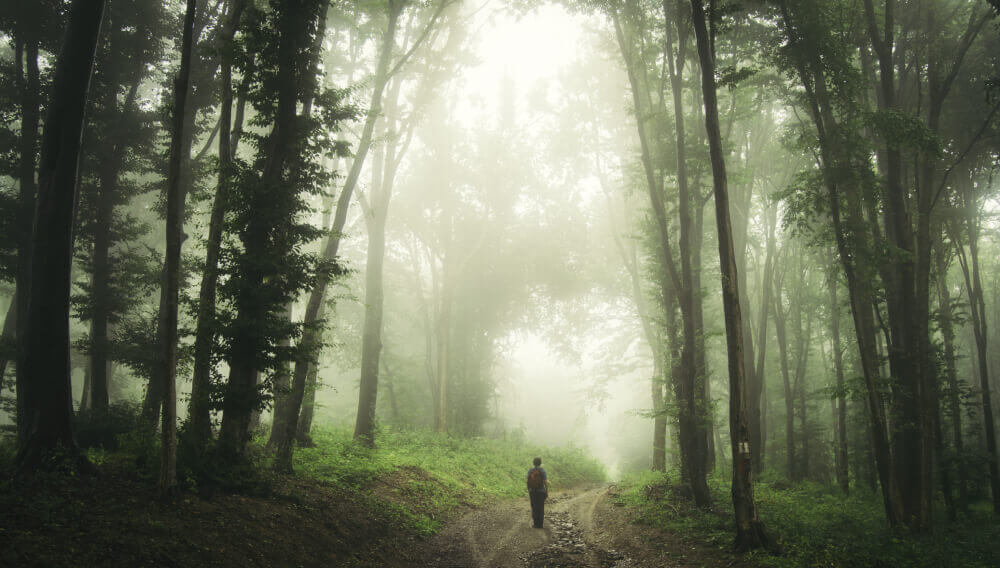 Legends of Hoia Baciu Forest