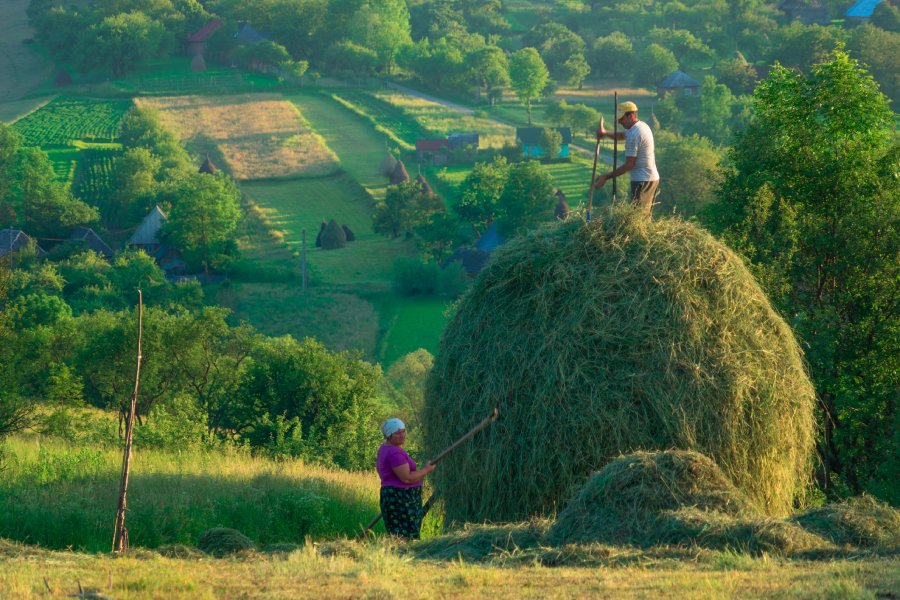 Some peasants working in Breb village from Maramures